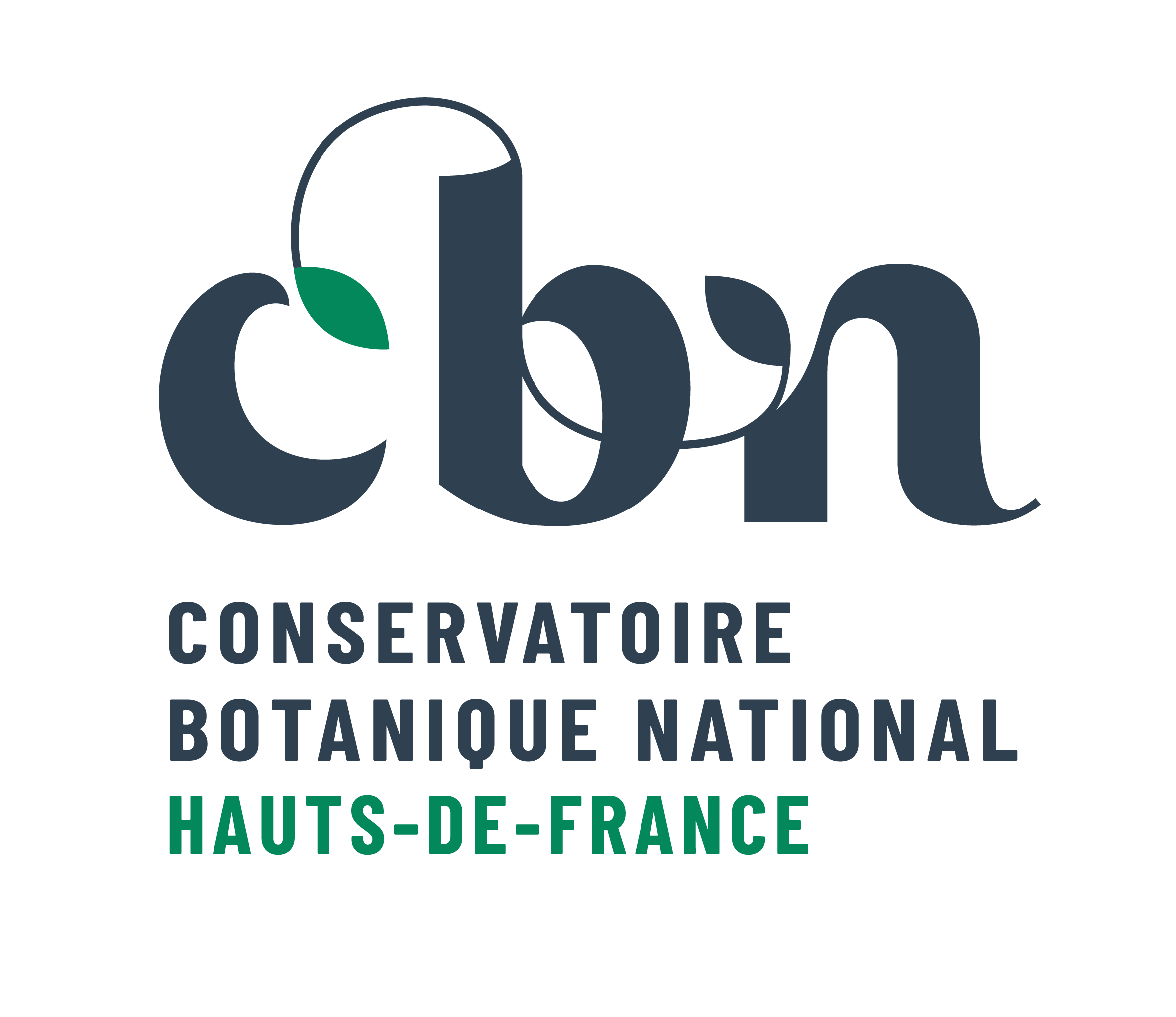 CBN-blocmarque-horizontal-HDF-RVB-BD